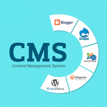 دوره مدیریت محتوا CMS